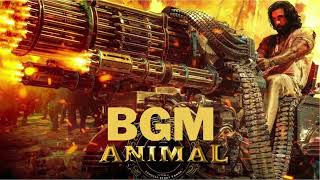 Animal BGM | Animal Theme Music | Animal Theme Song | Animal Background Music