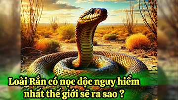 Rắn Taipan , loài Rắn có nọc độc nguy hiểm nhất thế giới ? #5phutbian