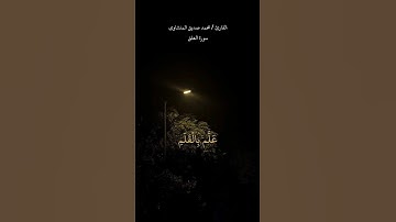 تلاوة خاشعة تأسر القلوب في لحظات التأمل