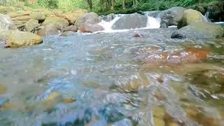 WATERFALL GENTLE STREAM SOUND IN FOREST 24/7. WATERFALL SOUNDS, FLOWING WATER, WHITE NOISE FOR SLEEP