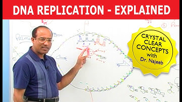 DNA Replication | RNA | Nucleotide | Cell Biology | Genetics🧬