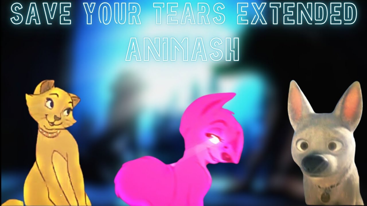 Animash ~ Save Your Tears Extended Version