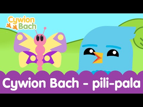 🦋 Cywion Bach