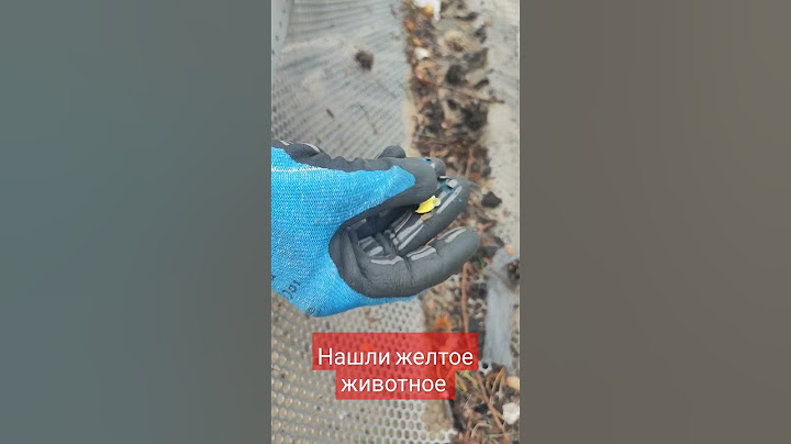 Чистка пляжа от потерянных вещей и мусора
