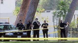 Anti-Gang Strategy in Los Angeles