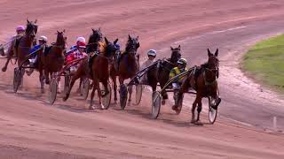 Vidéo de la course PMU PRIX DE LA JOURNEE DU PRESIDENT