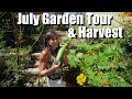 July Garden Tour & Harvest 🍅🥒🌶🍆