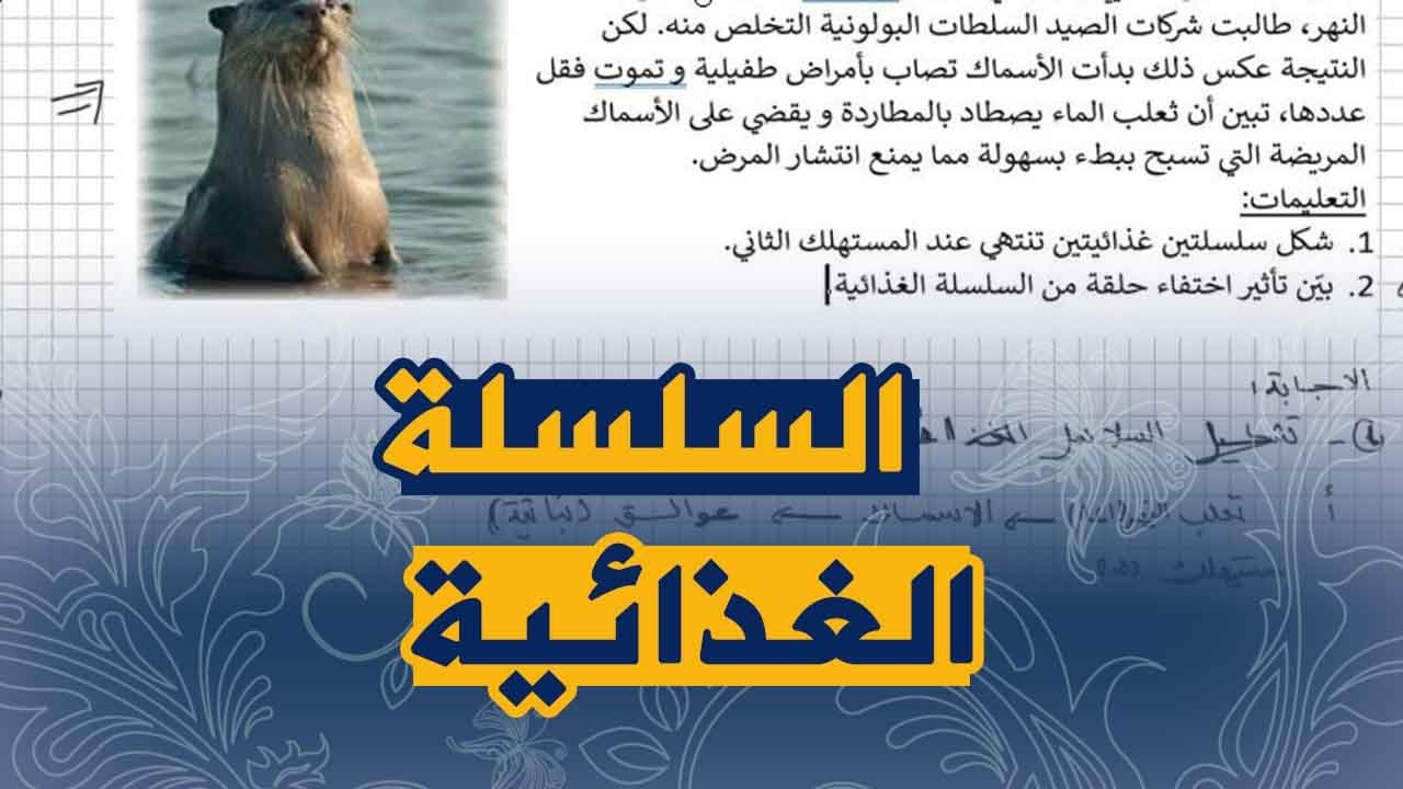 تمرين على السلاسل الغذائية و اختلالها علوم طبيعية للثانية متوسط الجيل الثاني