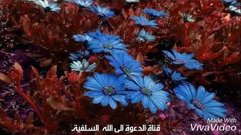 🎙ارح سمعك بكلام ربك🌷 للقارئ محمد بن سالم اليهري جامع الميره حي الهنداويه جده ١٠/٨/١٤٤٠