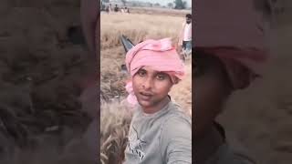 गिरा ड्रोन उत्तर प्रदेश के इटावा नंदपुर में  गेहूं के खेत में ।। सिग्नल भी काम कर रहा है #Short