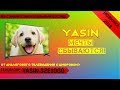 Обзор телевизора YASIN 32E1000 (Новинка 2018) + настройка каналов.