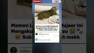 Why did he actually admit it 😭🐾 #trending #viral #cat #funnycat #funny #memes #cat #catfunny Why did he actually admit it 😭🐾 #trending #viral #cat #funnycat #funny #memes #cat #catfunny