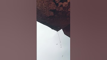 Thumbnail of slow motion of falling rain drops