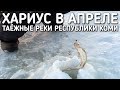 РЫБАЛКА НА ХАРИУС В АПРЕЛЕ / ТАЕЖНЫЕ РЕКИ РЕСПУБЛИКИ КОМИ