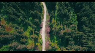 Pexels No Copyright Background Nature Video (No Sound, No Music) - Free Stock Footage FreeTips screenshot 2