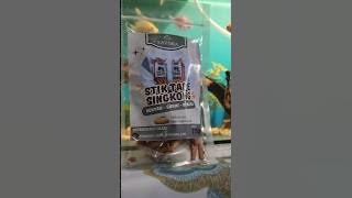 STIK TAPE SINGKONG