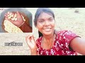 matkom halany hech aakani // new santali blog