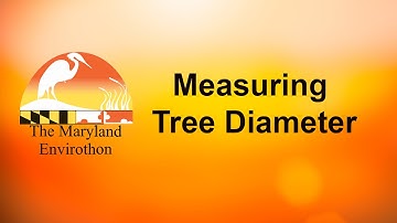 Measuring Tree Diameter
