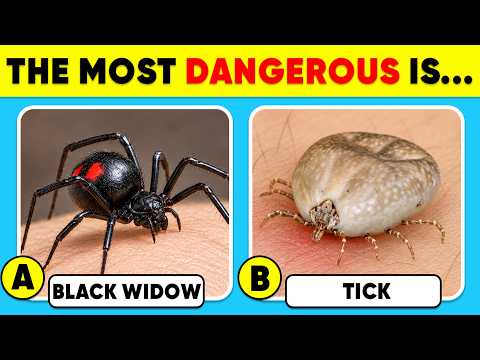 How Well Do You Know Animals? 🌍🧠✅ General Knowledge Trivia Quiz