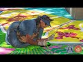 Oct. 17, 2025 NewsReel: Ojai Valley News | Ventura County Sun