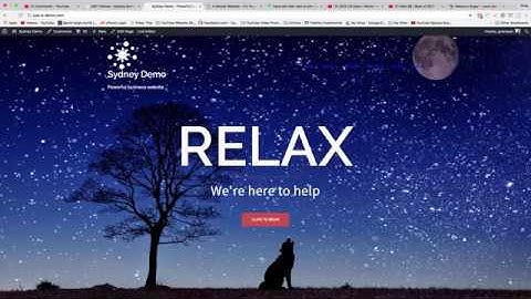 Keep Logo, Tagline and Description in Sydney WordPress Theme