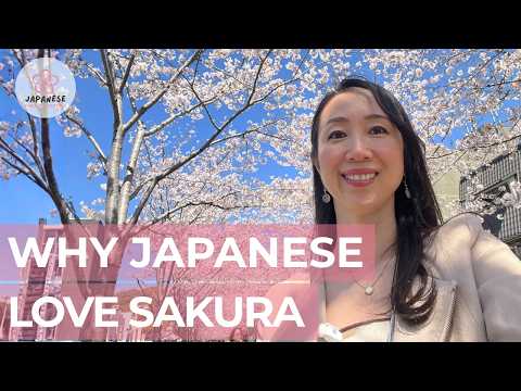Why Japanese Love Sakura