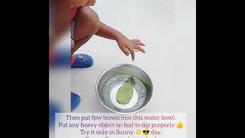 Can a leaf breathe 🤔 (Experiment done by Suryansh Jena)