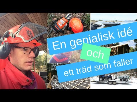 Video: Vi Formar Vinbär Med Ett Träd