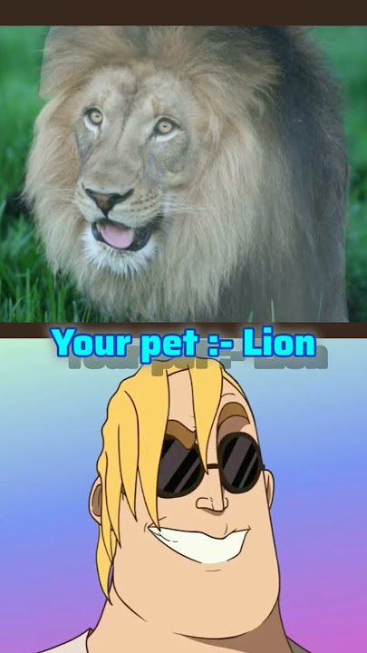 Mr. Incredible Becoming Canny [animated version] Your Pet :- ???