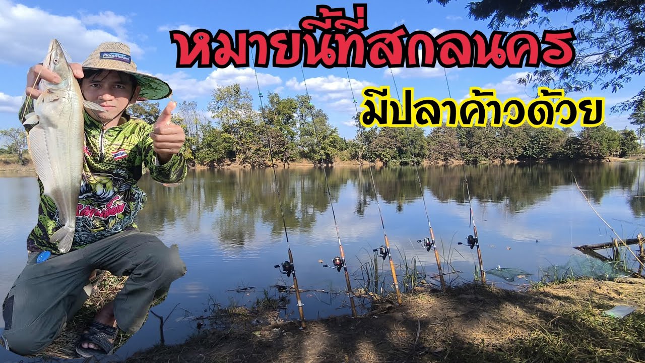 มีโอกาสกลับบ้านช่วงเทศกาลปีใหม่ เลยแวะมาตกปลาหนองพง ใกล้หมู่บ้านโพนงาม อ.กุดบาก จ.สกลนคร