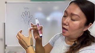 Understanding Hand Joints And Ligaments - Glimpse From The Hand Exam Prep Program
