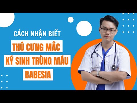 Video: Những điều cần biết về Ký sinh trùng đường ruột ở chó và mèo