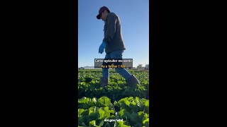 Agricultural Worker Story