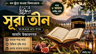 Surah At-Tin | Beautiful Quran Recitation | سورة التين | Peaceful Quran Tilawat
