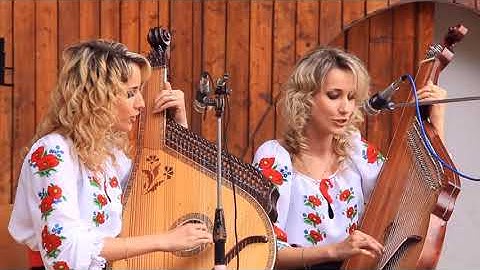 Ep 13.  Dialectical Behavior Therapy (DBT) The Five Dysregulations