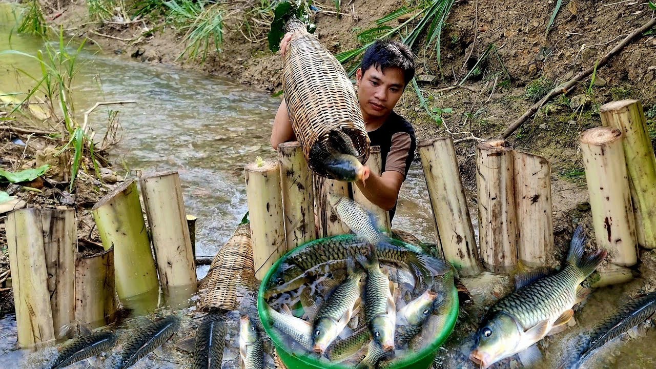 A great way to block stream water with a banana tree to trap fish ...