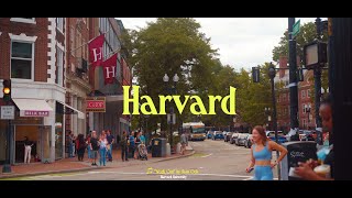[Playlist] 하버드 대학교 감성