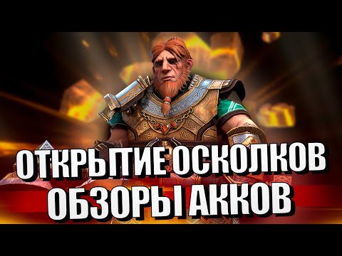 Стрим № 330 Капитан Пёсик Raid Shadow Legends