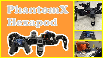 PhantomX Hexapod - Building and Final Test