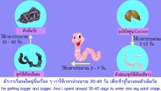 วัฏจักรชีวิตไส้เดือนดิน วิทยาศาสตร์ชั้นป.3
