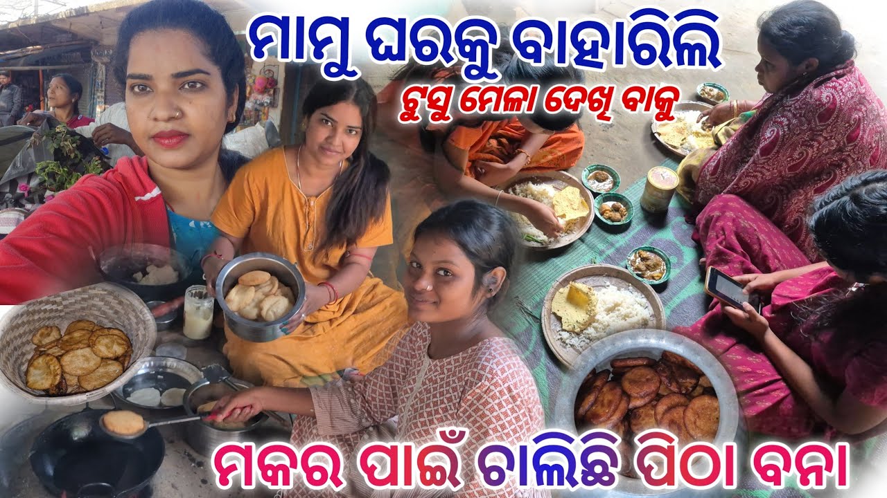 ମାମୁ ଘରକୁ ବାହାରିଲି ଟୁସୁ ମେଳା ଦେଖିବାକୁ /Rupashree odia vlog 