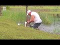 Florida man saves dog from alligator / courtesy CNN