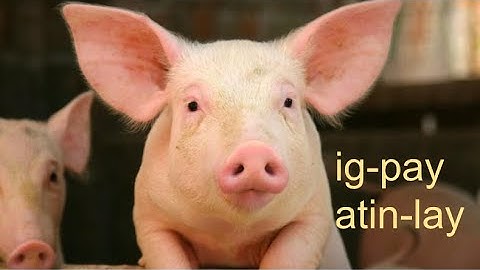 Breakout Box Audio Clue