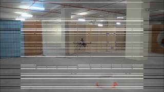 [NUS UAV] SAFMC_2014_Q1-Lion_NUS_CategoryD2