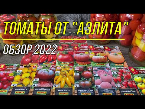 Video: Tomatforrett