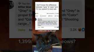 Difference between gray and grey? #relatable #fyp #shorts #viralvideo #trending