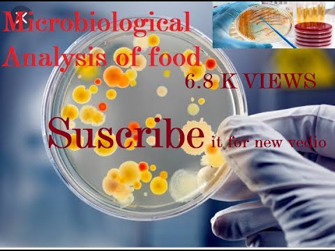 How to make Microbiological analysis of food - Method of testing