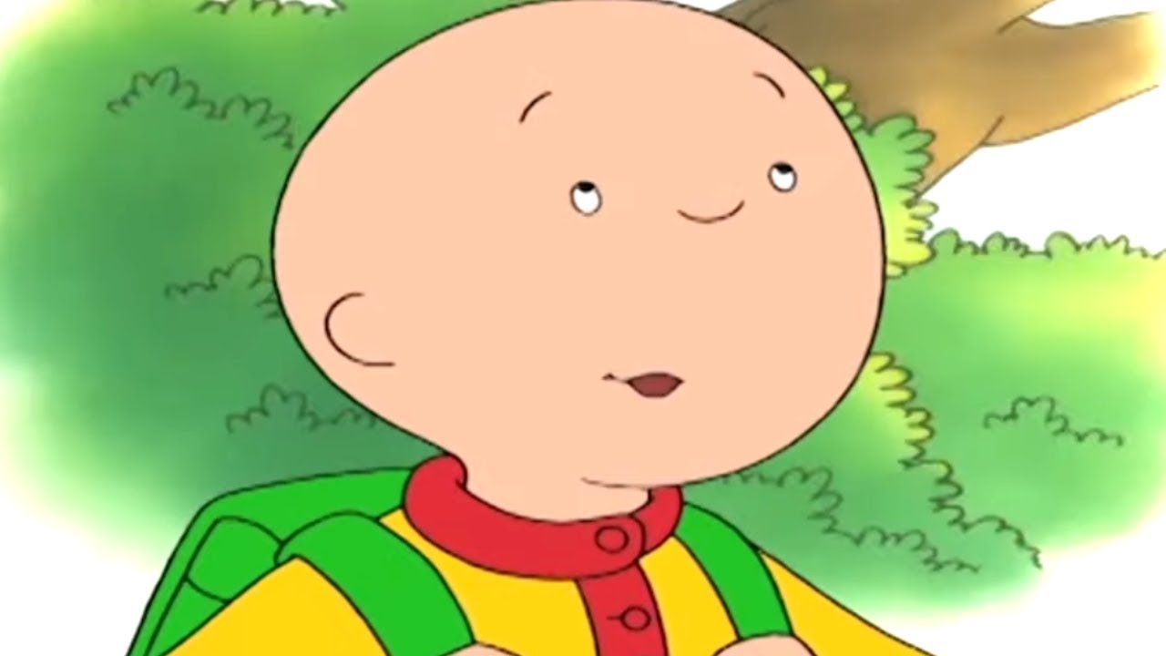 A Aventura na Escola de Caillou | Caillou em Português - WildBrain