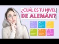 Lo que REALMENTE se aprende EN CADA NIVEL de ALEMÁN 🇩🇪| AndyGM