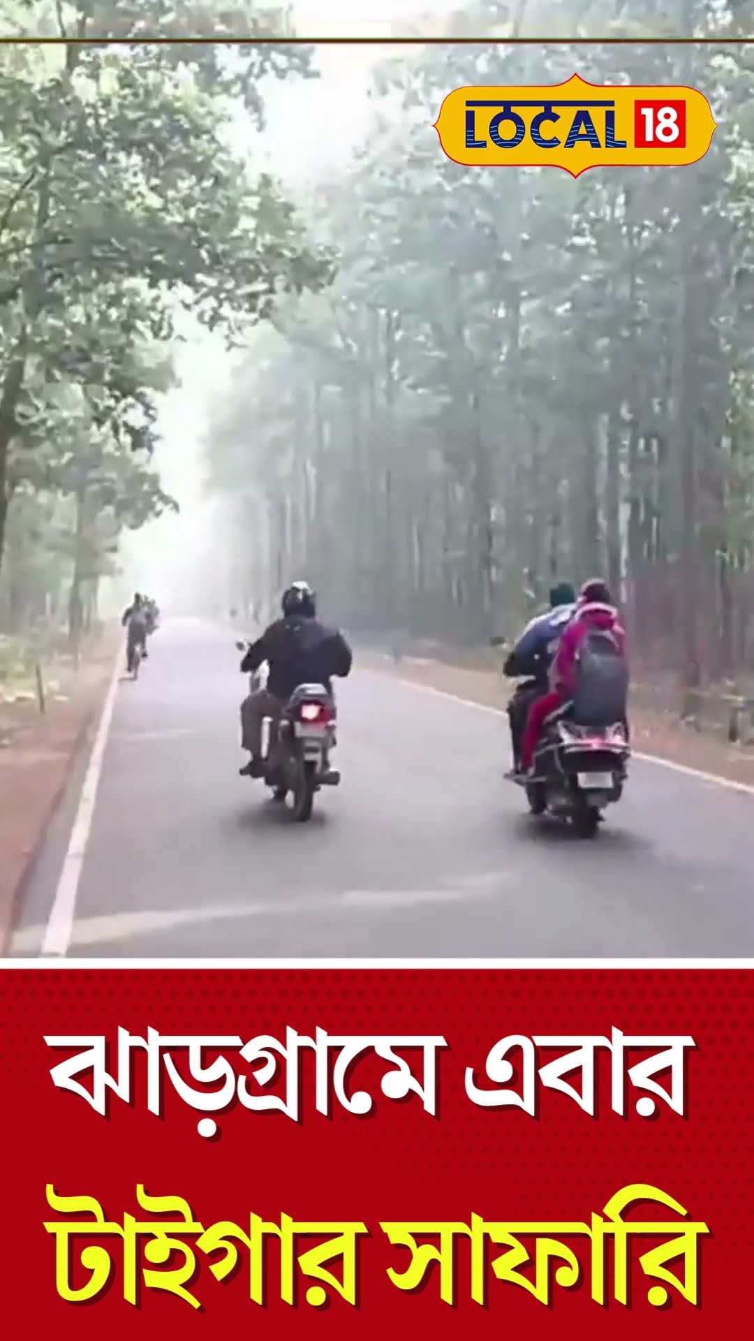 Bangla News | কবে থেকে ঝাড়গ্রামে শুরু হতে চলেছে টাইগার সাফারি  | Tiger Safari | #local18shorts